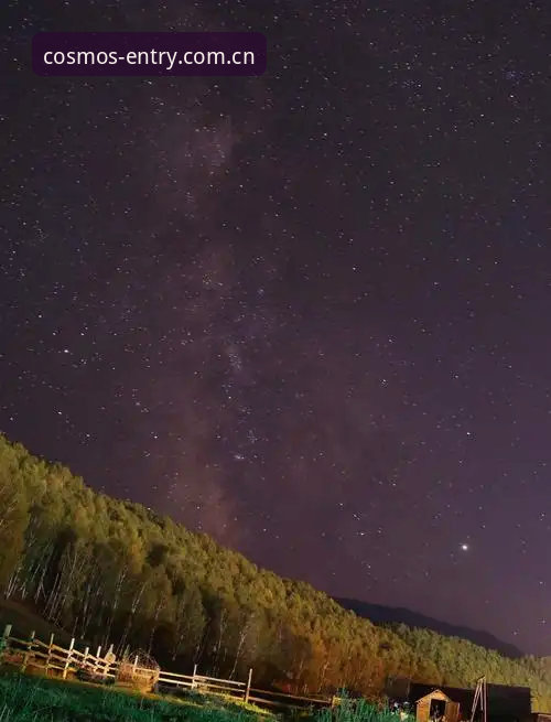 星空入口新手攻略怎么下载 星空入口新手攻略下载必备知识:从零开始的完整操作指南
