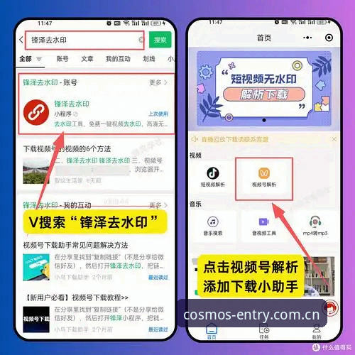 从零开始掌握星空入口App使用教程：注册、下载与功能全解析